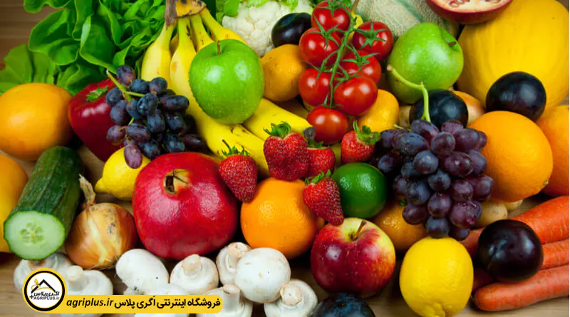 تأثیر کود فراکتون بر سایز میوه